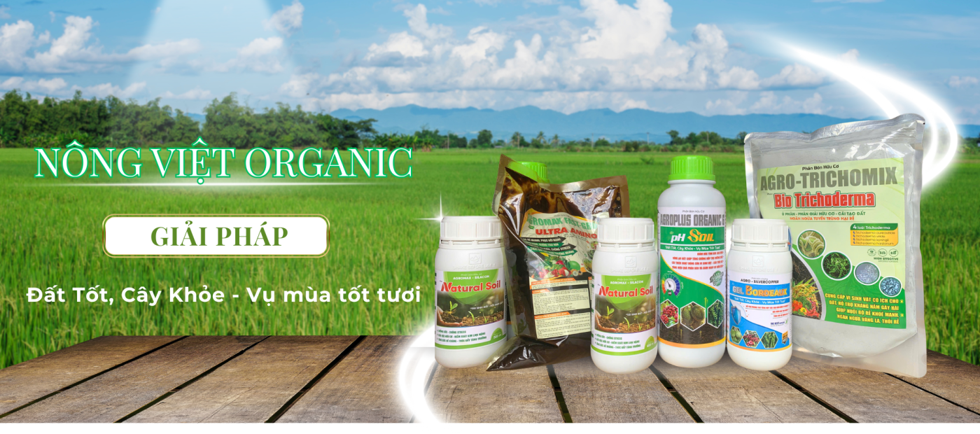 Giải pháp cải tạo pH đất thấp