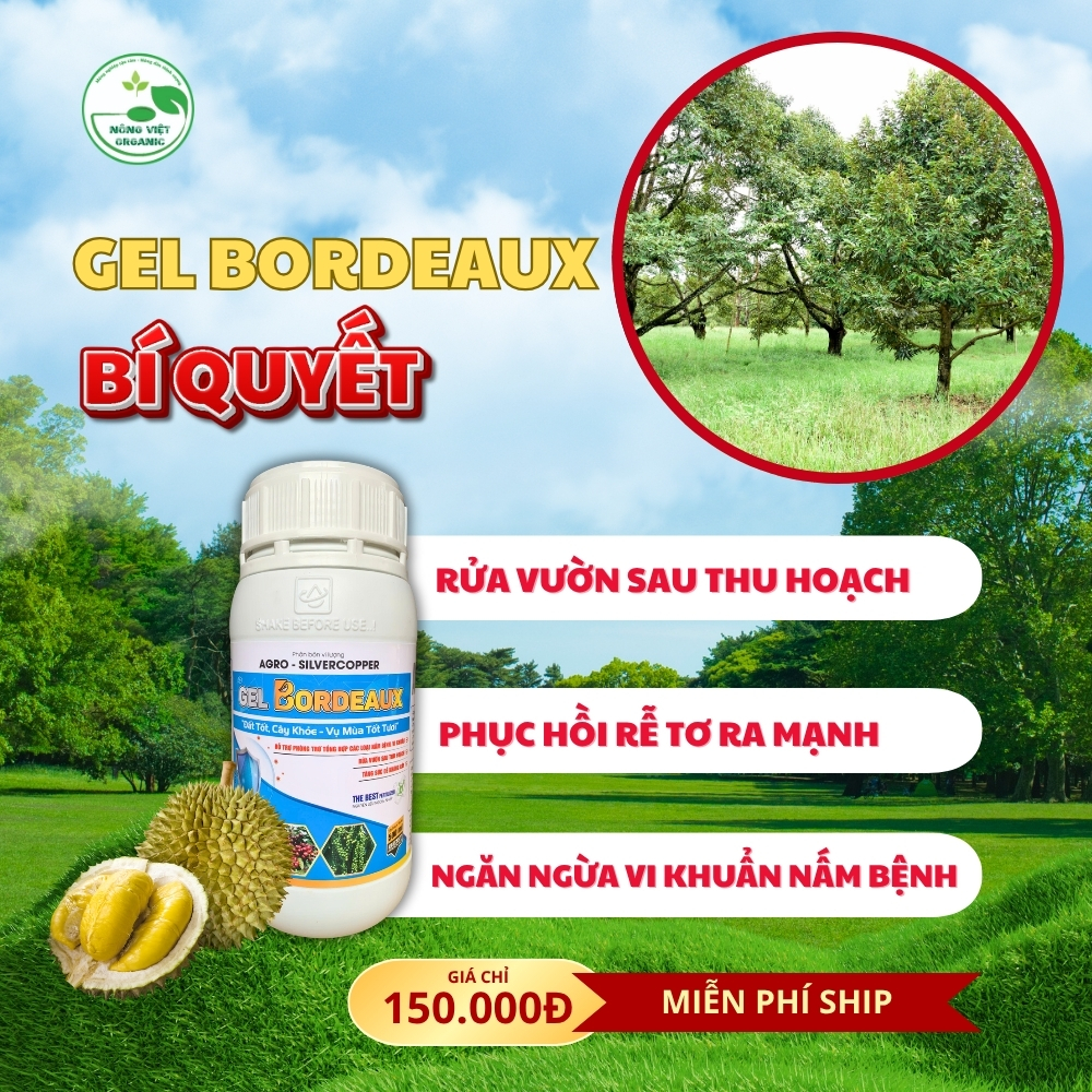 gel bordeaux gel bordeaux