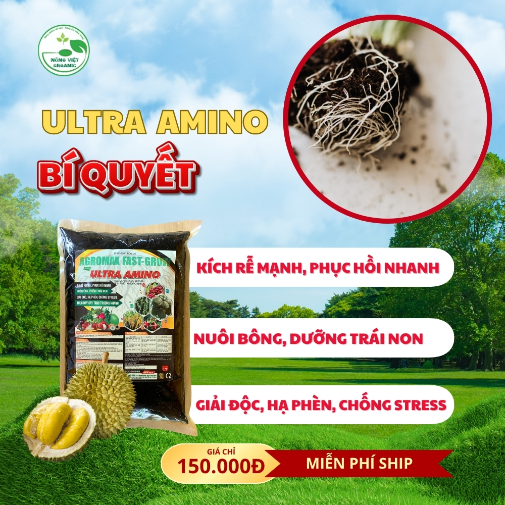 ultra amino ultra amino