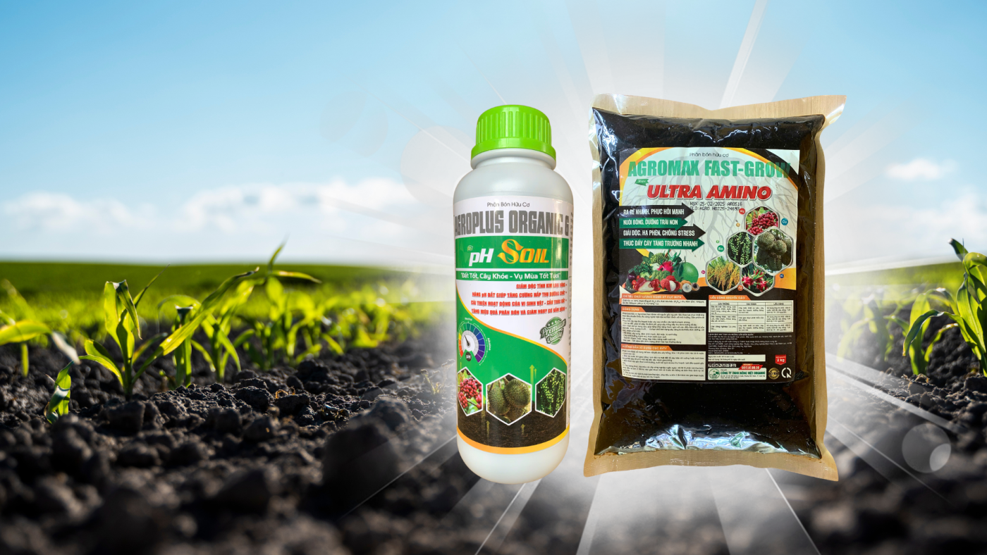 sản phẩm phục hồi sầu riêng