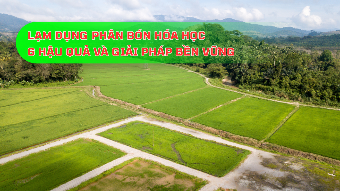 Lạm dụng phân bón hóa học