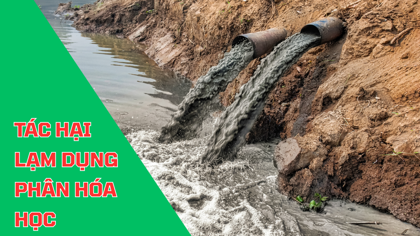 Tác hại của lạm dụng phân bón hóa học