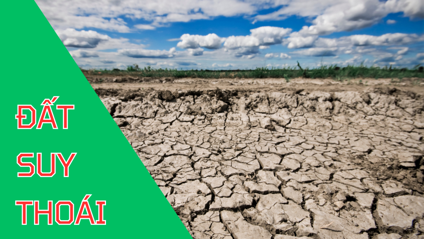 Đất suy thoái
