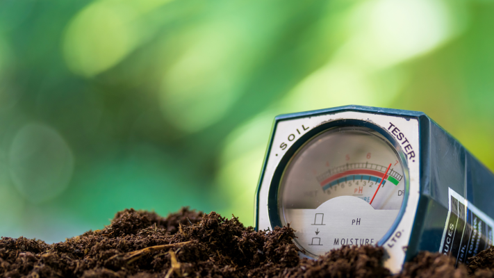 Nguyên nhân thay đổi pH đất