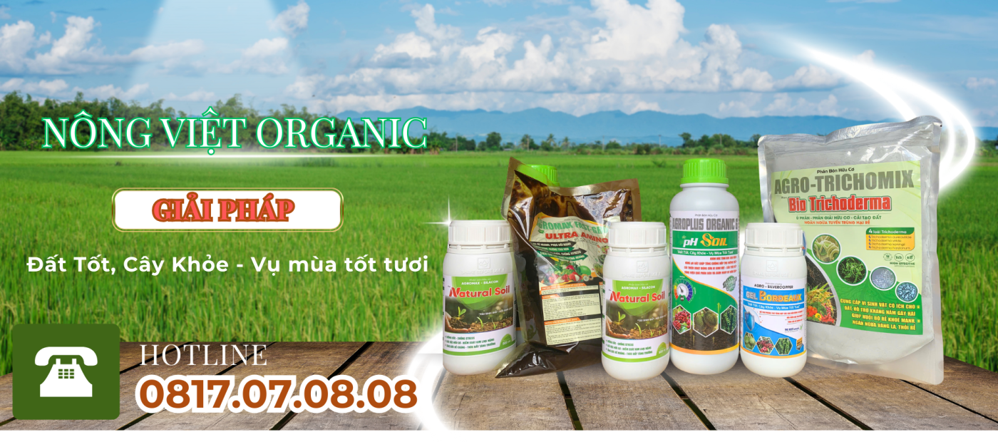 bộ sản phẩm cho canh tác hữu cơ sầu riêng