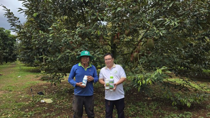 ph-dat-thap-thi-phai-lam-sao