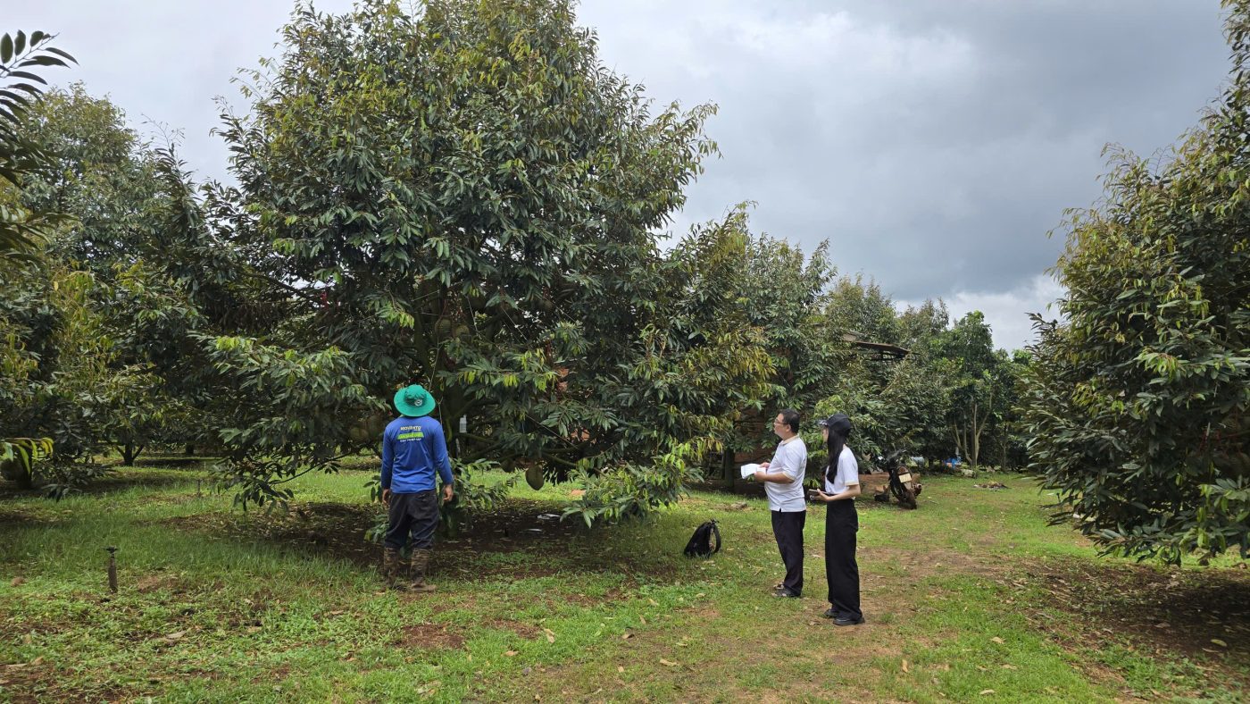 phuong-phap-cai-tao-ph-dat-thap