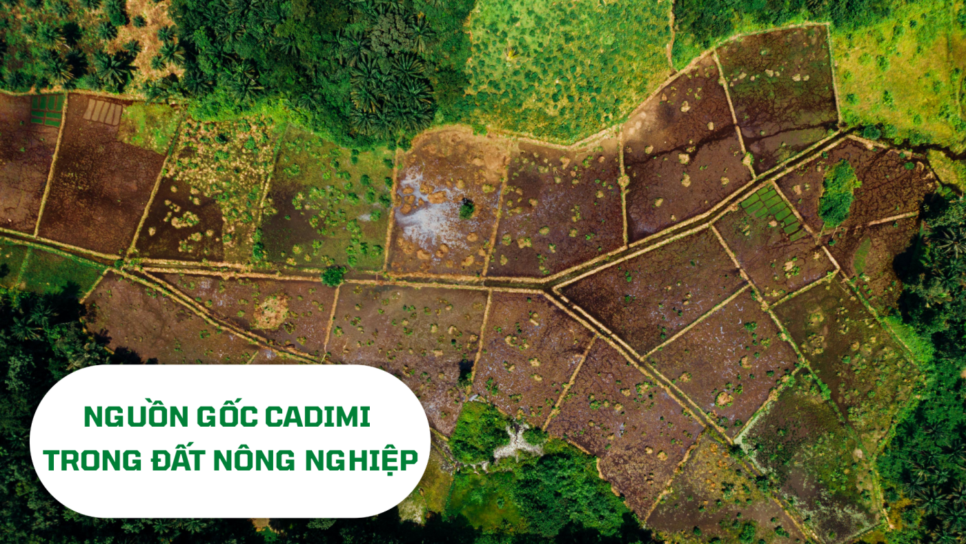 Nguồn gốc cadimi trong đất