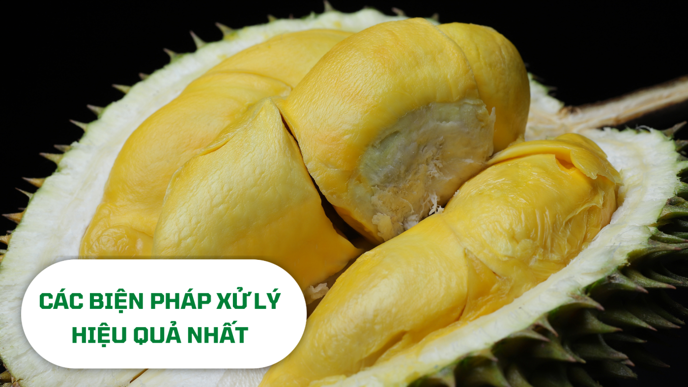 Biện pháp xử lý cadimi