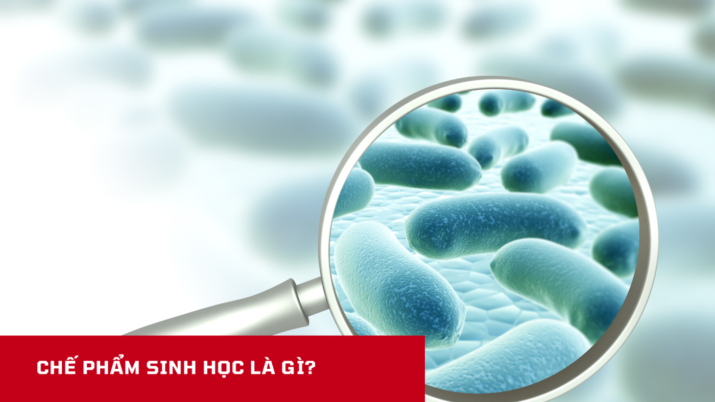 Chế phẩm sinh học là gì