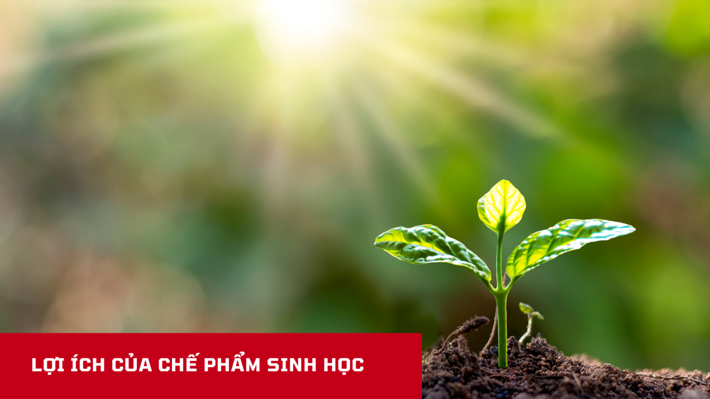 Lợi ích của chế phẩm sinh học