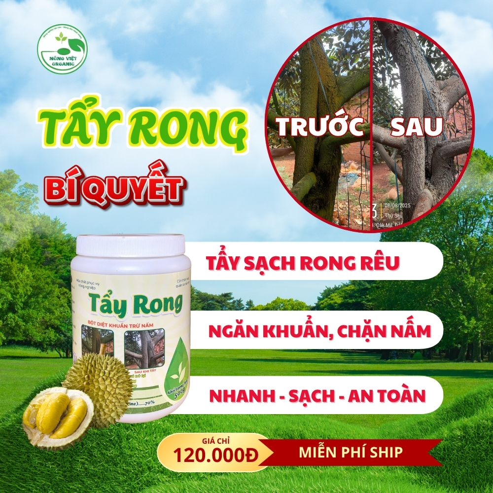 tẩy rong tẩy rong