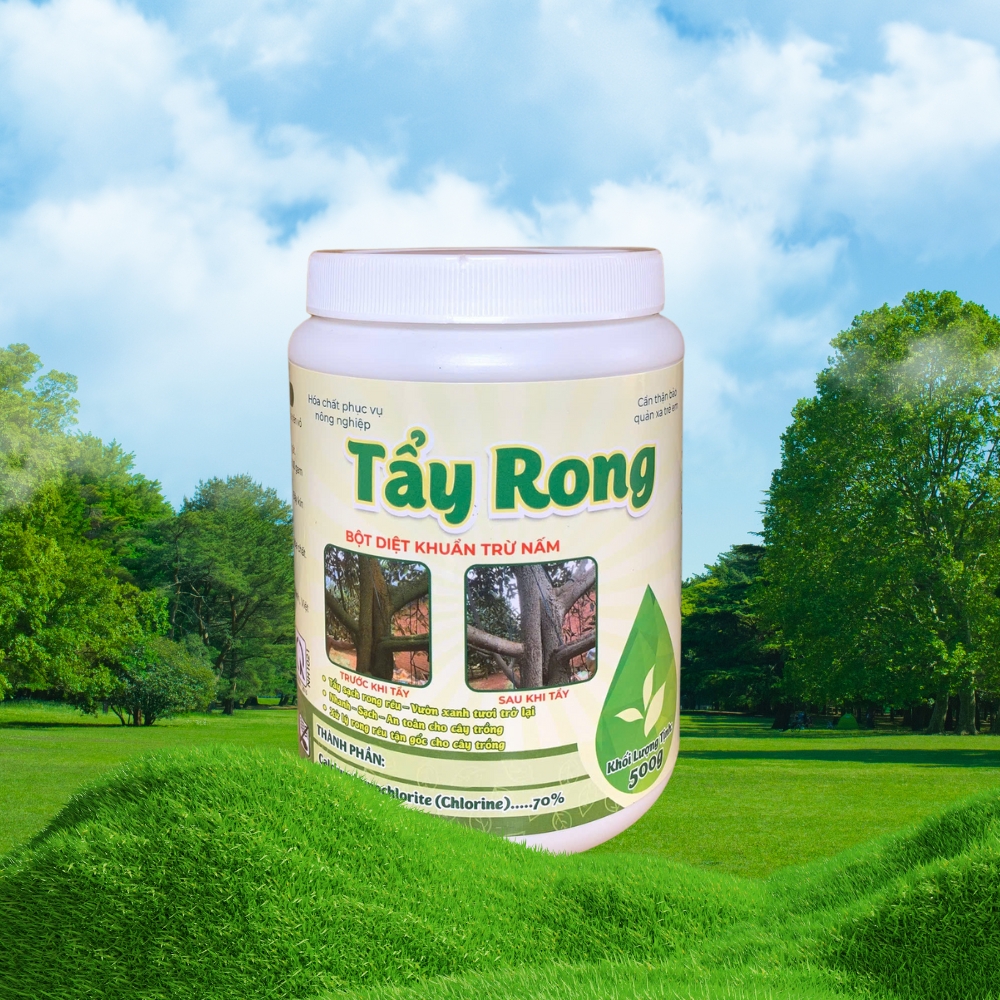 tẩy rong