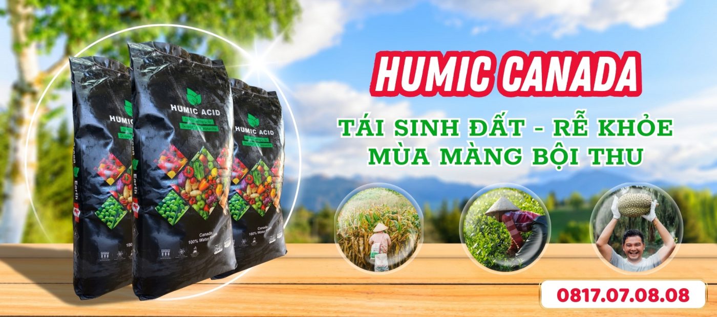humic canada