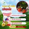 đạm cá viên nở
